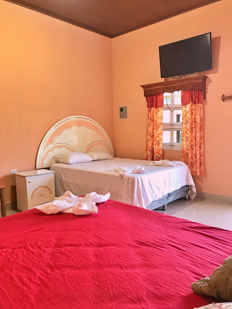 Basic Room photo 3