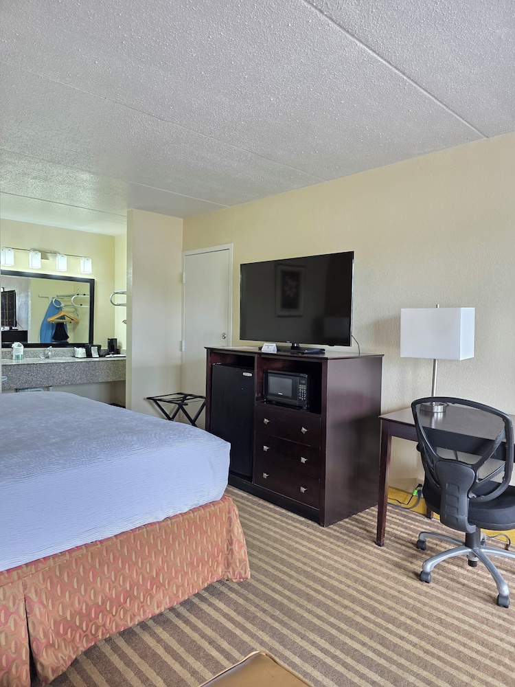 Single Room, 1 King Bed photo 2
