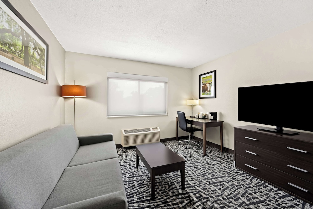 Suite, 1 King Bed, Accessible, Refrigerator & Microwave (with Sofabed) - Photo 3