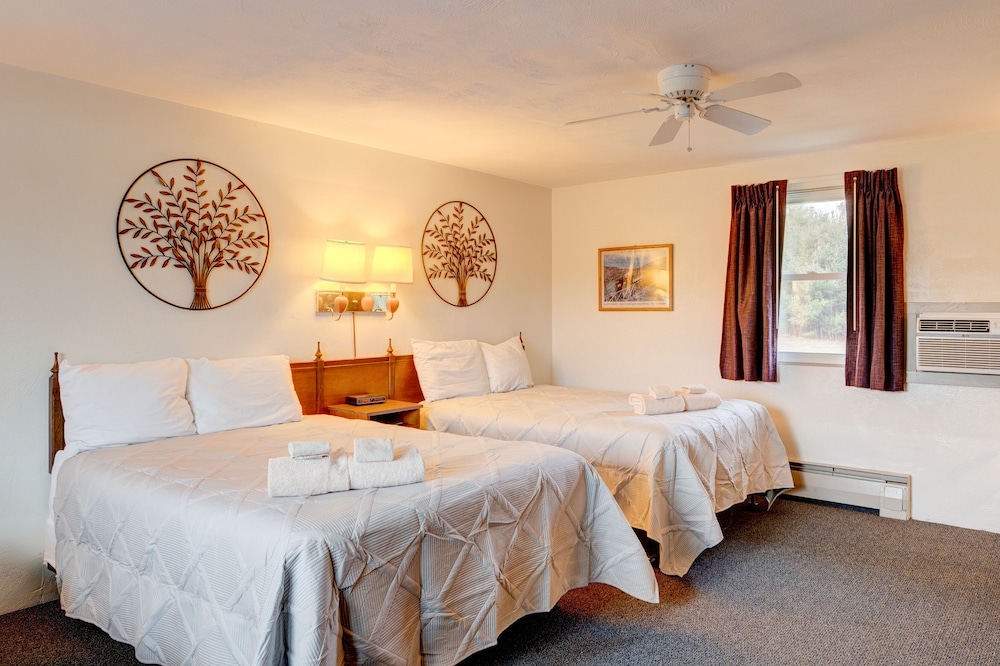 Executive Room photo 1