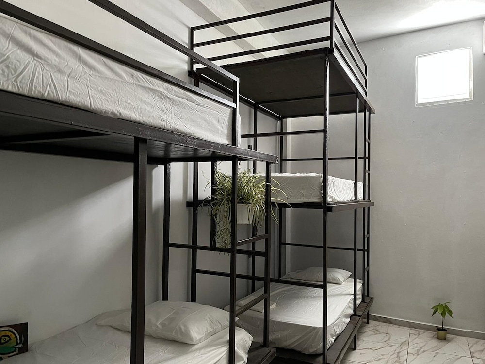 Shared Dormitory photo 1