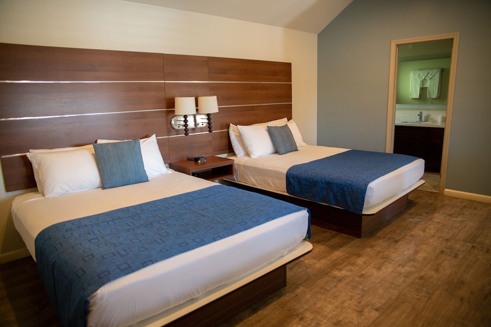 Standard Room, 2 Queen Beds