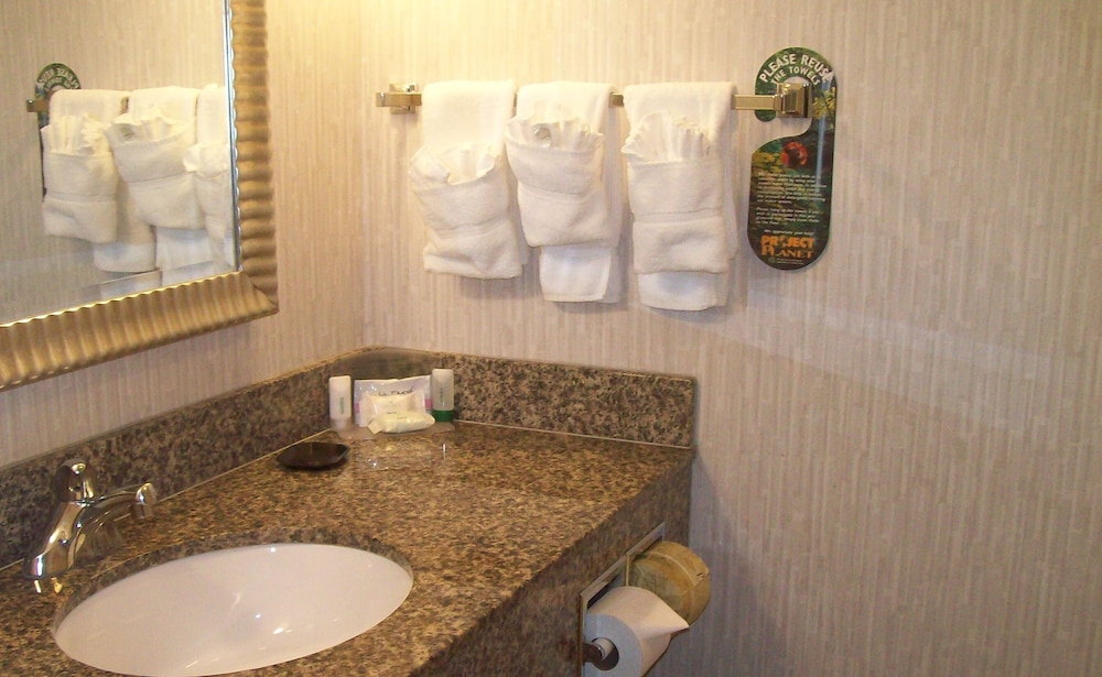 Premium Room, 1 King Bed, Jetted Tub - Photo 3