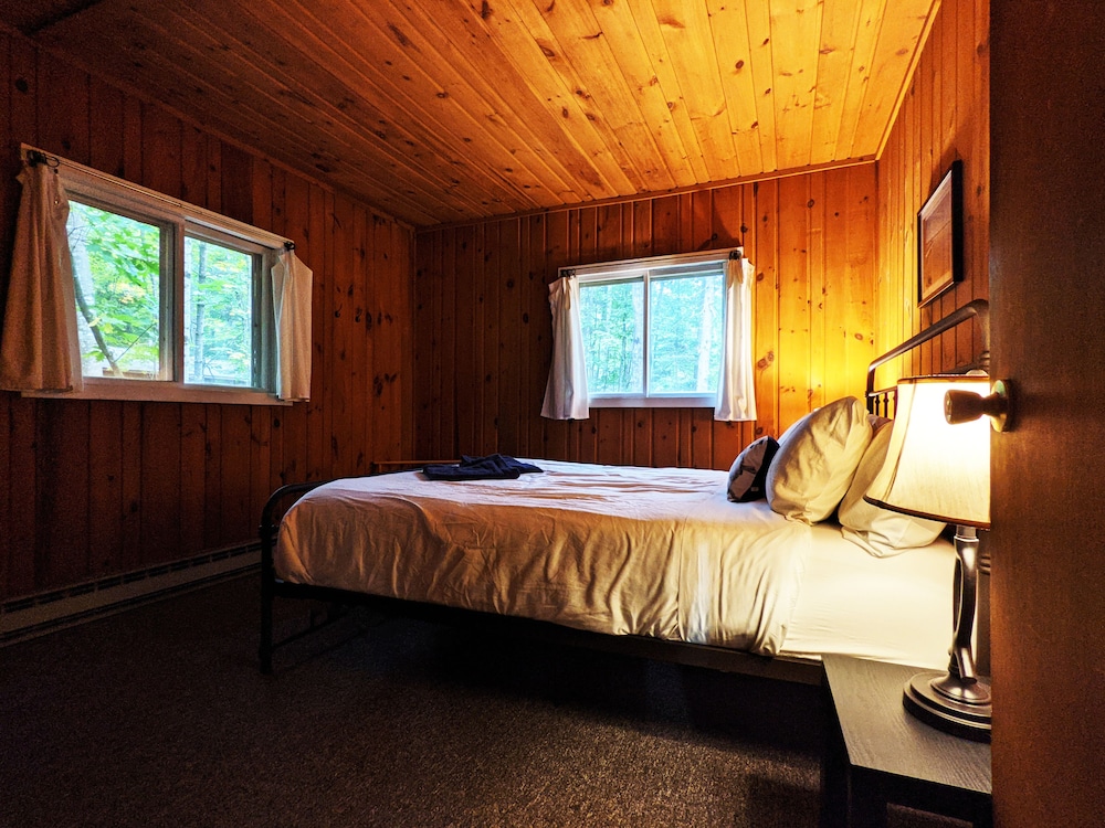 Musky Manor - Cabin #2 | Forest View (Premium Amenities Included!) photo 2
