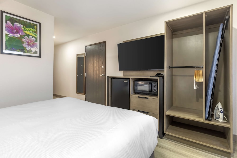 Standard Room, 1 Queen Bed, Accessible, Non Smoking - Photo 3