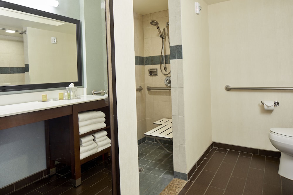 Room, 1 King Bed, Accessible (City/Mountain View, 3x3 Shower) - Photo 6
