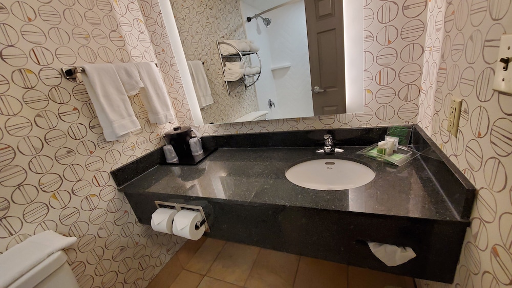 Suite, 1 Bedroom - Photo 4