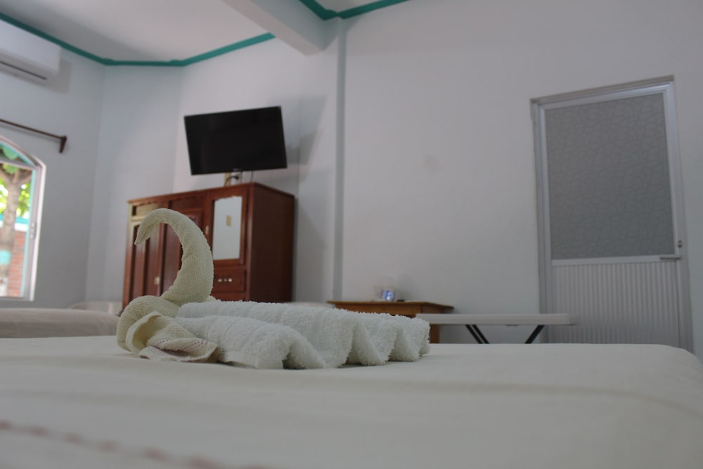 Basic Twin Room - Photo 19