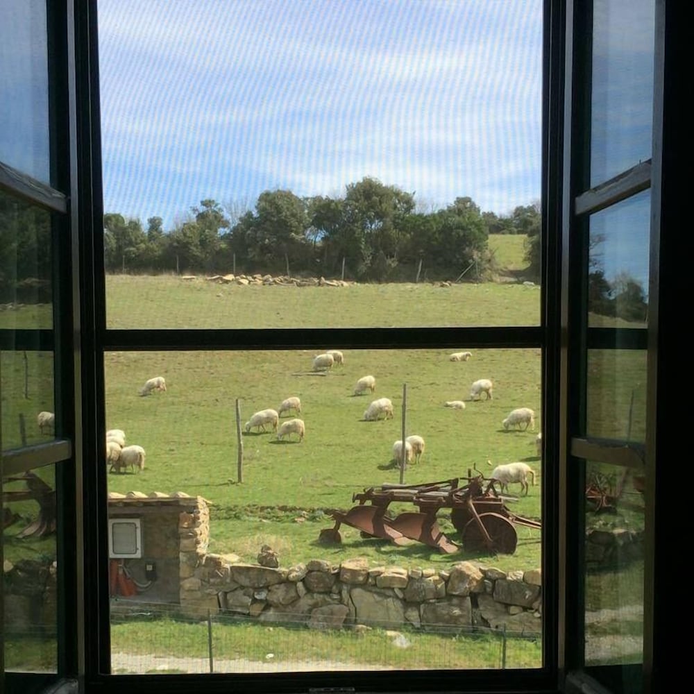 Agriturismo Pian dei Lupi, Billede 6