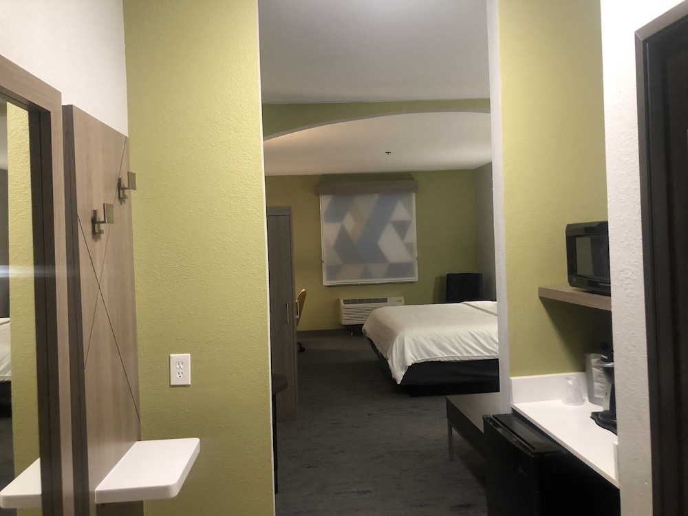 Suite, 1 King Bed - Photo 1