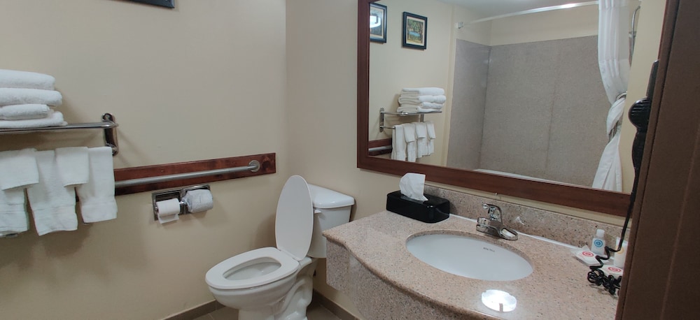 Room, 1 King Bed, Non Smoking, Jetted Tub, photo 6