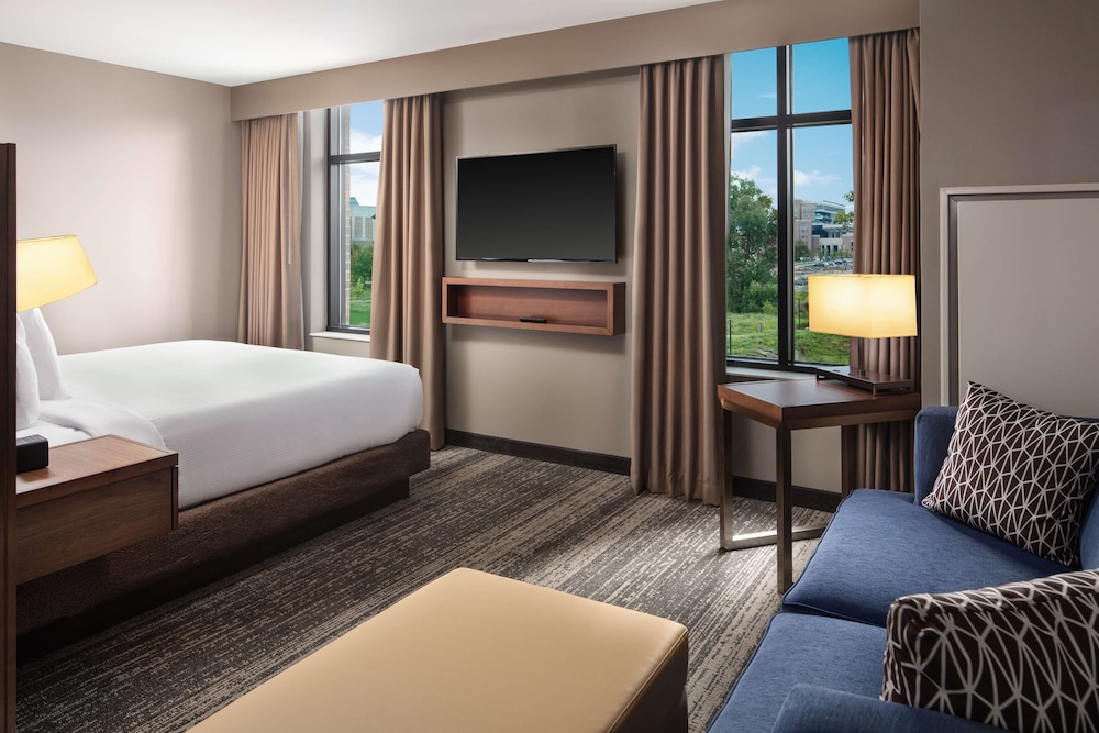 Suite, 1 King Bed