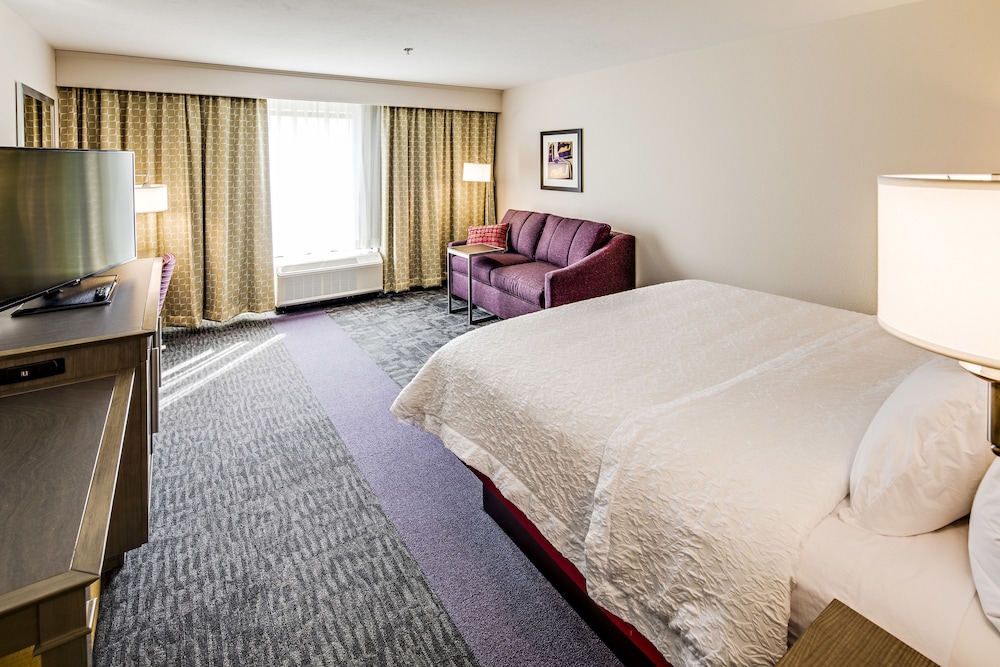 Room, 1 King Bed, Non Smoking, Refrigerator & Microwave