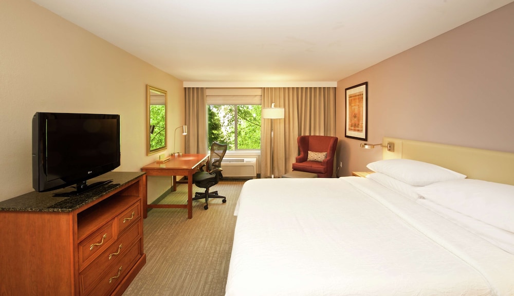 Room, 1 King Bed, Accessible, Non Smoking - Photo 1
