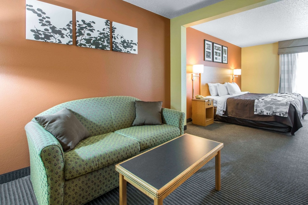 Suite, 1 King Bed with Sofa bed, Accessible, Non Smoking - Photo 2