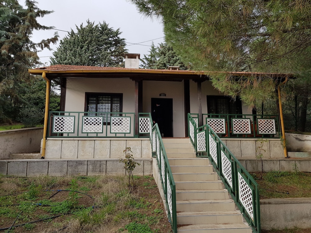 Family Villa photo 2