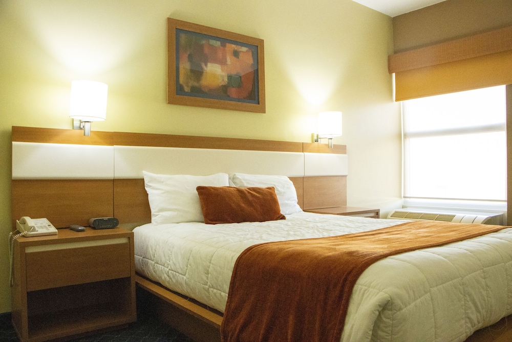 Executive Single Room, 1 Queen Bed photo 1