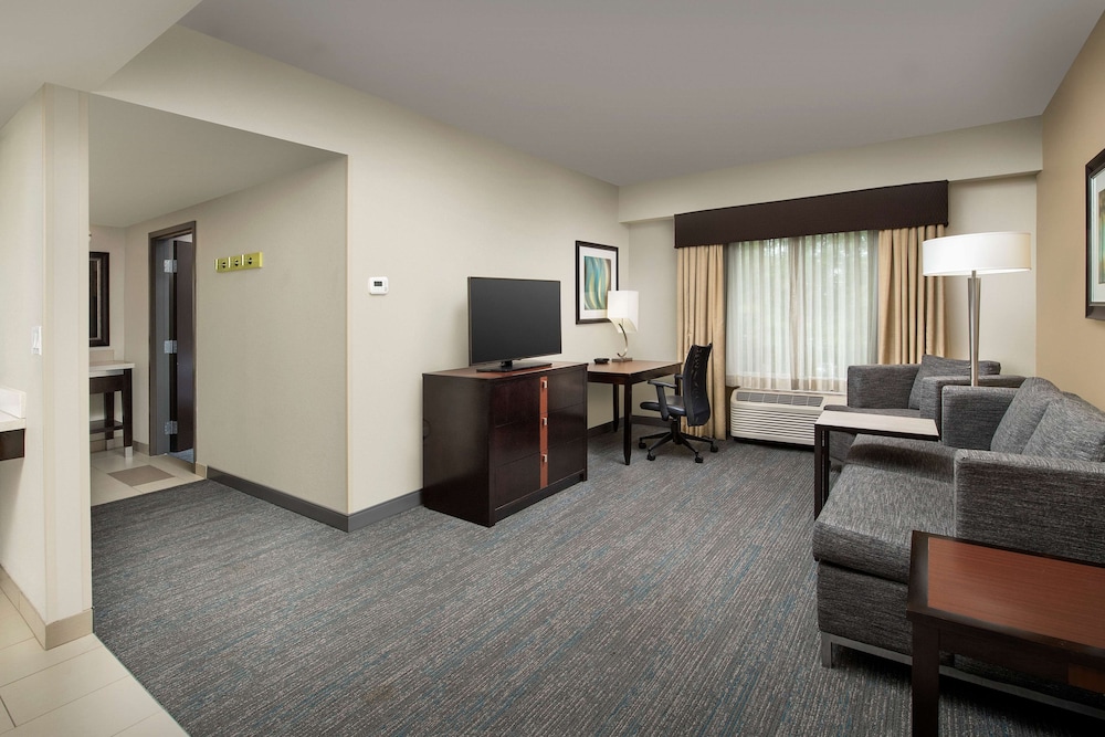 Suite, 1 King Bed, Non Smoking, Kitchenette photo 1