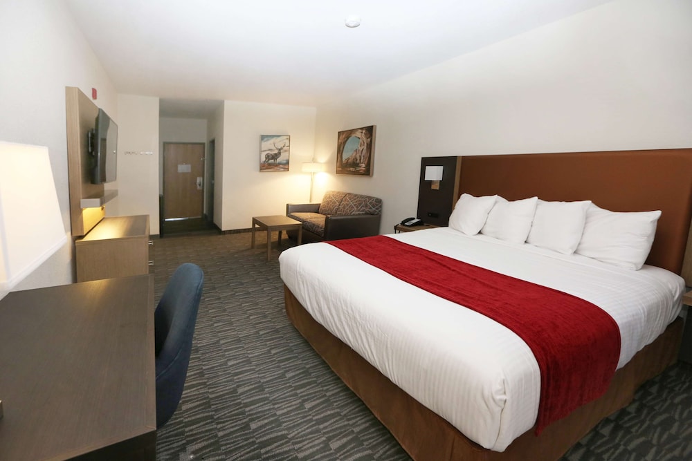 Standard Room, 1 King Bed, Non Smoking, Refrigerator & Microwave - Photo 4