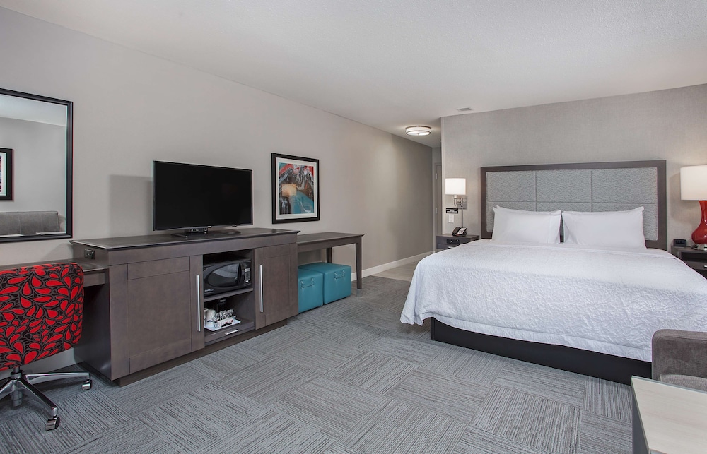 Room, 1 King Bed, Accessible (Mobility & Hearing, Roll-in Shower) photo 2