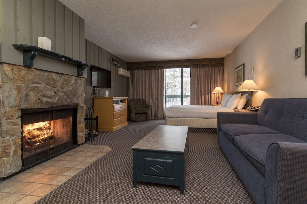Studio, 1 Queen Bed with Sofa bed, Kitchen