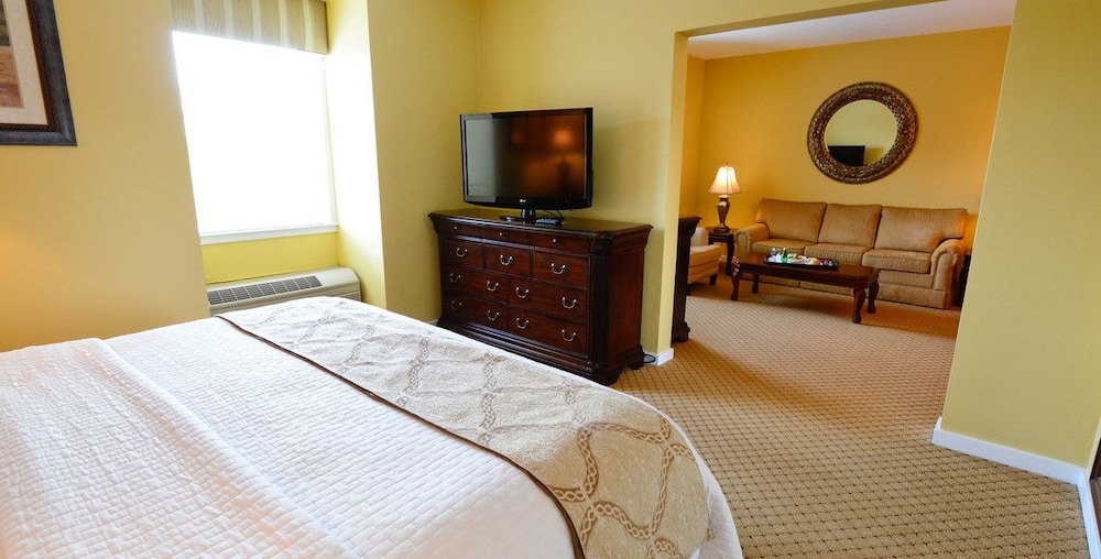 Suite, 1 Bedroom photo 1