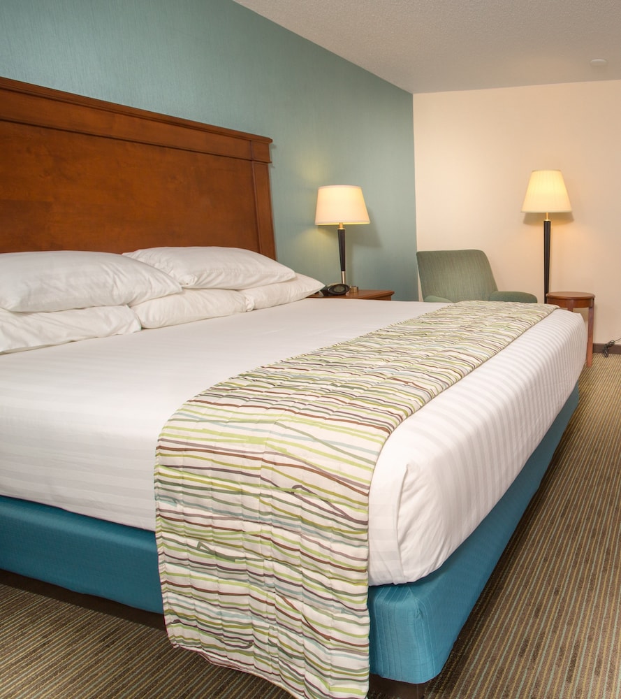 Deluxe Room, 1 King Bed, Refrigerator & Microwave (Upper Floor) photo 2