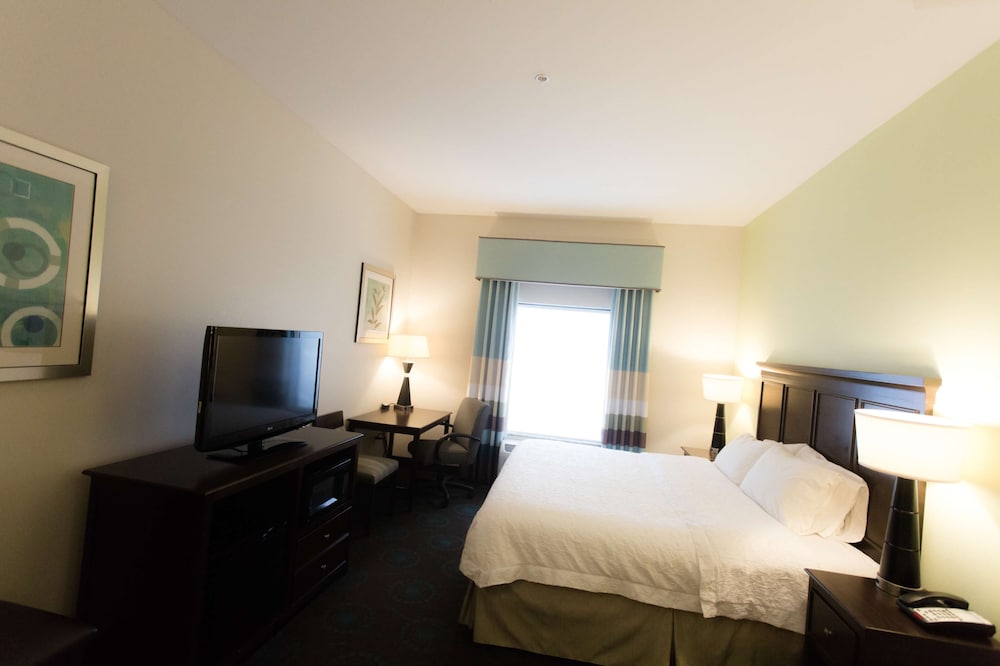 Suite, 1 King Bed, Non Smoking photo 2