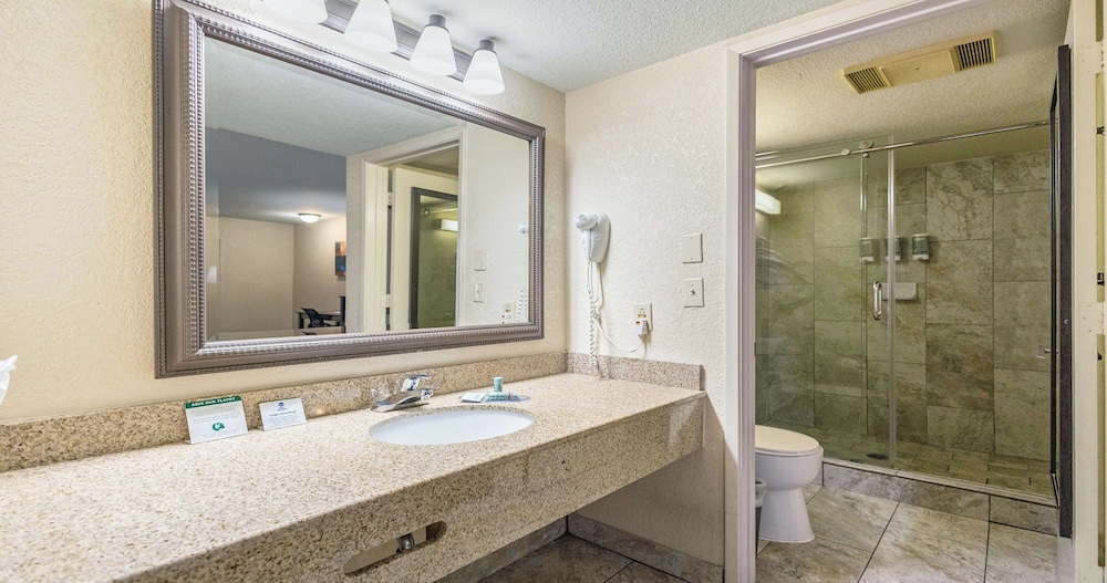 Deluxe Room, 1 King Bed, Non Smoking, Refrigerator & Microwave - Photo 8