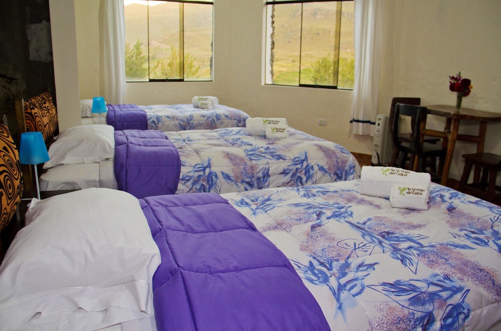 Triple Room, 3 Twin Beds, Private Bathroom photo 3