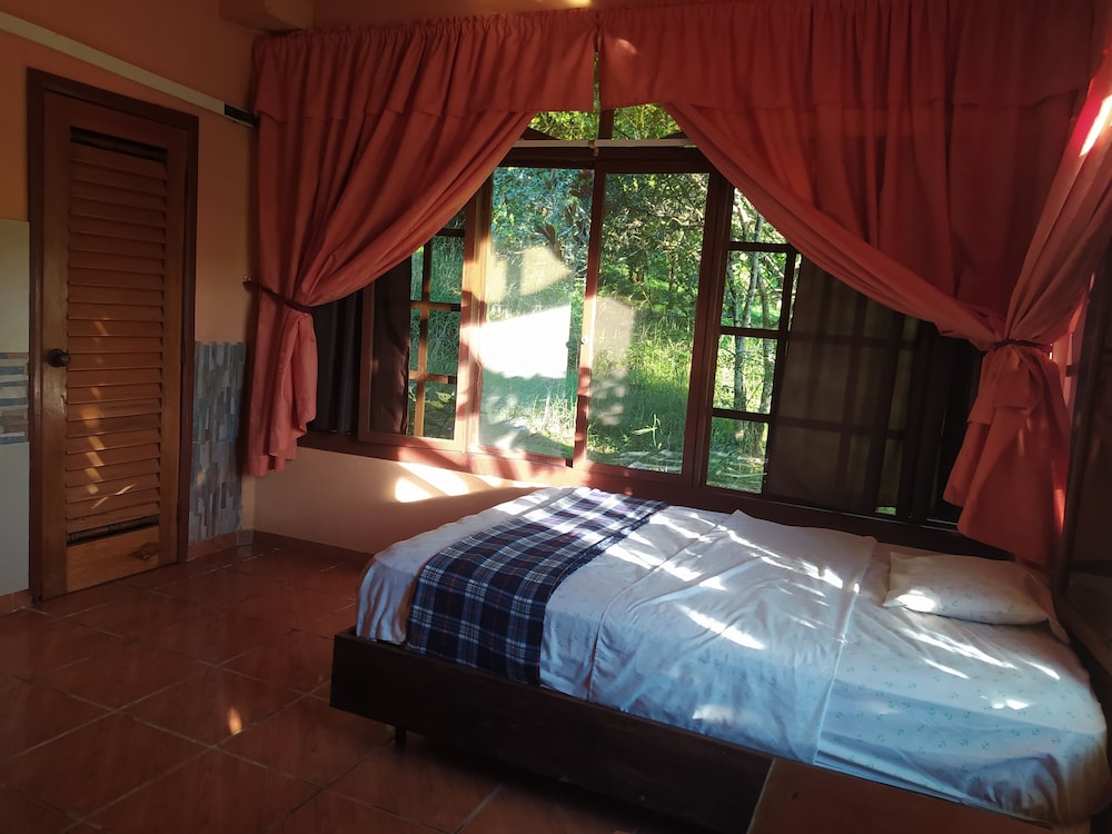 Comfort Single Room, 1 Bedroom, Private Bathroom, Pool View photo 2