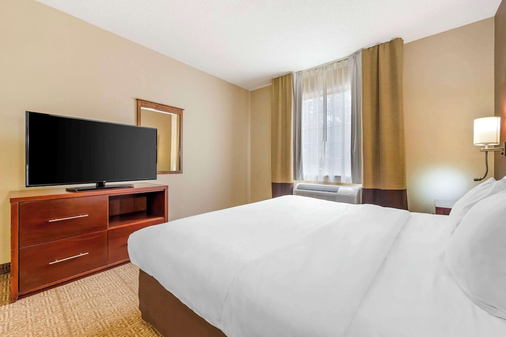 Suite, 1 King Bed with Sofa bed, Non Smoking (Pet Friendly) photo 3