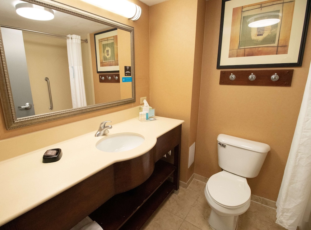 Classic Room, 1 King Bed, Accessible (Hearing Accessible) - Photo 4