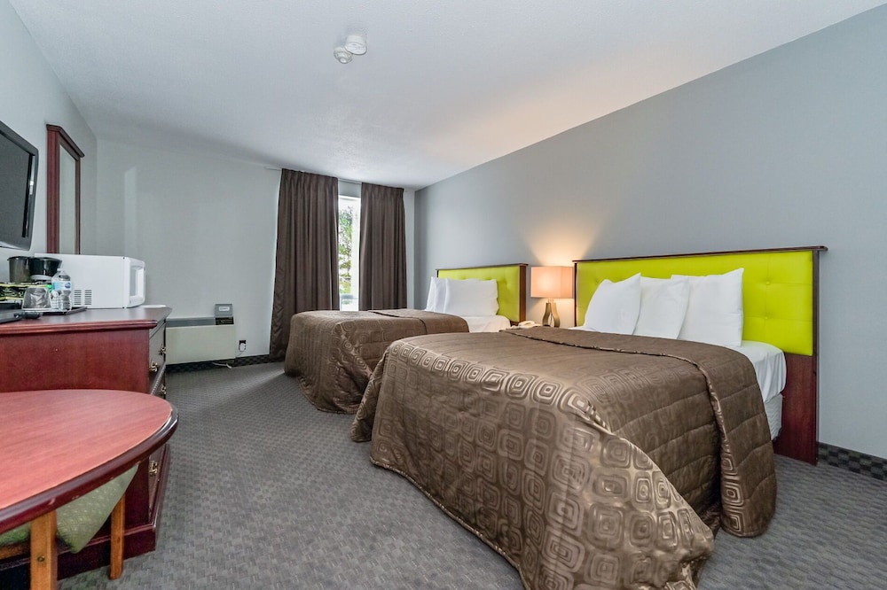 Single Room, 2 Queen Beds photo 1
