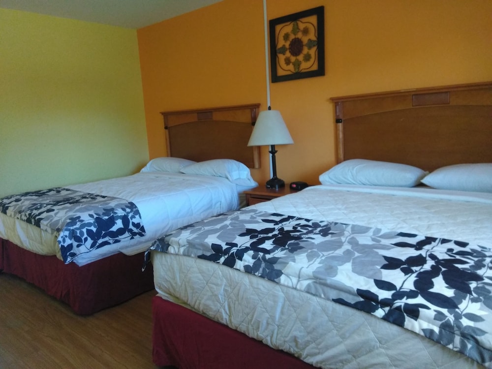 Standard Room, 2 Queen Beds photo 1