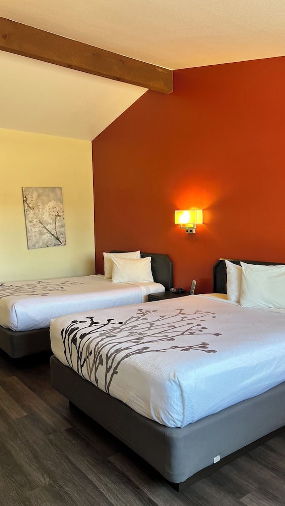 Elite Single Room