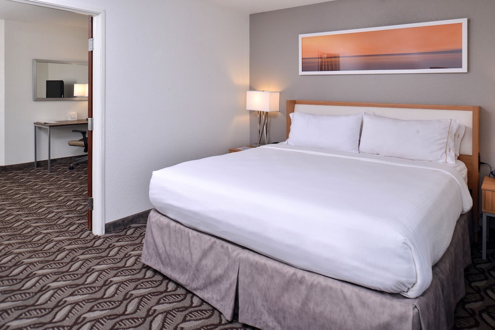 Standard Room, 1 King Bed, Accessible (Communications, Roll In Shower) - Photo 5