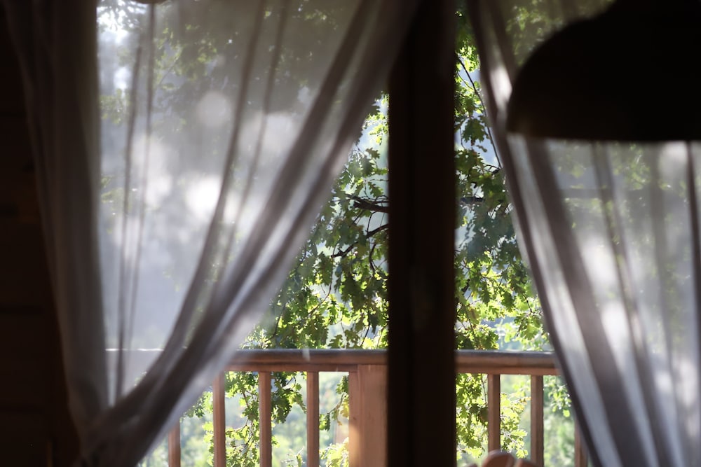 Panoramic Tree House (Bagheera) photo 3