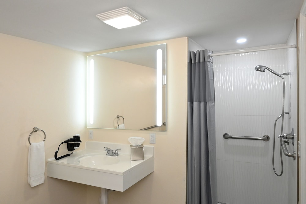 Premium Room, 1 King Bed, Patio, Pool View, Accessible - Photo 8