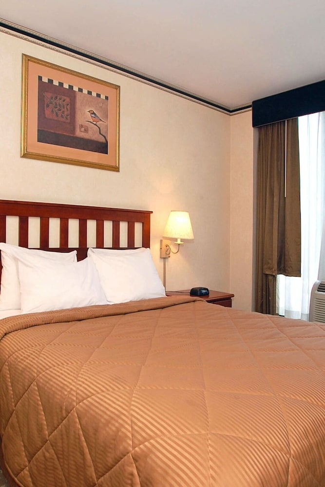 City Room photo 2