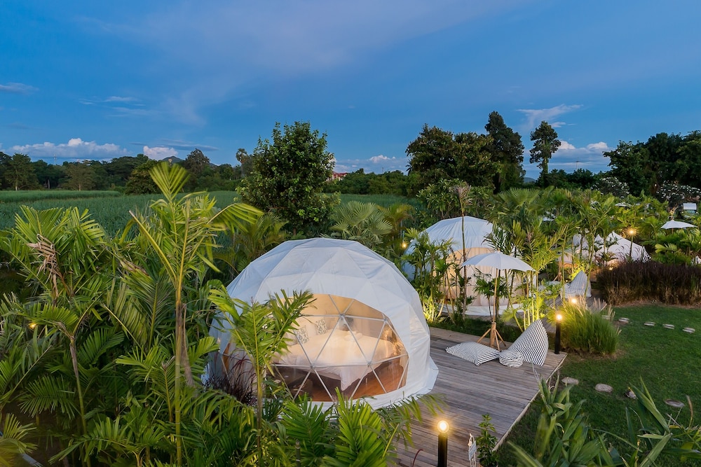 Glamping Dome - Photo 6