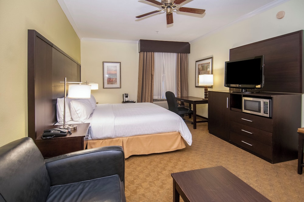 Suite, 1 King Bed (Minifridge) - Photo 1