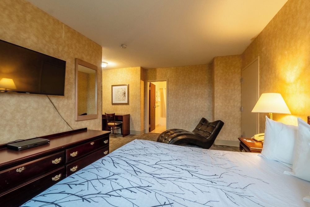 Suite, Kitchen (No Pets Allowed) photo 2