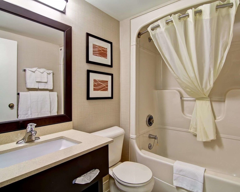 Standard Room, 1 King Bed, Non Smoking (No Pets Allowed) - Photo 10