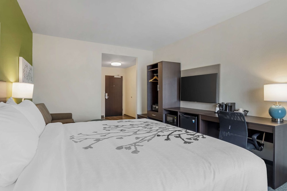 Standard Room, 1 King Bed, Non Smoking - Photo 3
