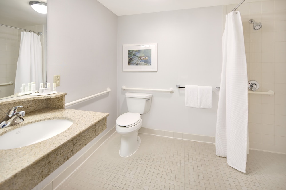 Room, 1 King Bed With Sofa Bed (Mobility Accessible, Roll-In Shower) - Photo 4