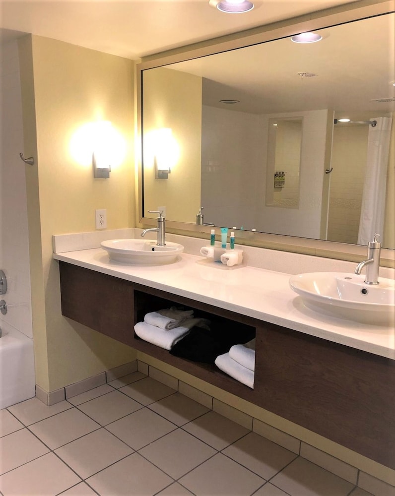 Suite, 1 Bedroom - Photo 5