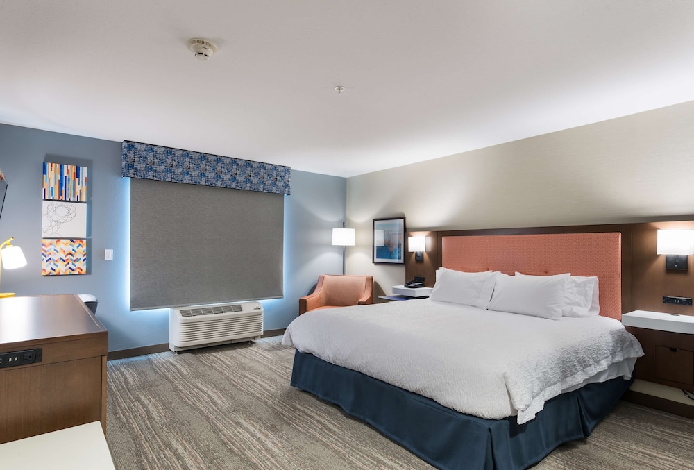 Room, 1 King Bed, Accessible, Non Smoking (Mobility & Hearing, Roll-In Shower) - Photo 1