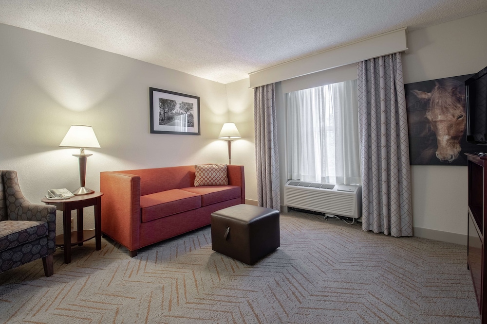Signature Suite, 1 King Bed with Sofa bed, Accessible - Photo 2