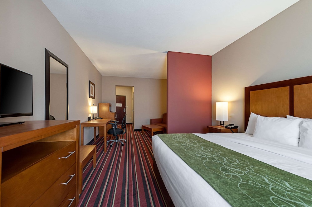 Suite, Accessible, Non Smoking - Photo 7